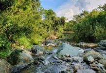 El río Hato, mi parque de atracciones Río Hato y puente de hamaca