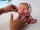 Crecer bien: indicadores de desarrollo de 1 a 6 meses de edad