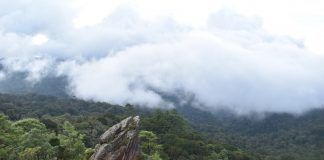 Regreso a la Peña del Ángel en la Sierra de las Minas Peña del Ángel, en teoría, el ala izquierda del ángel