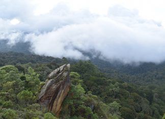 Regreso a la Peña del Ángel en la Sierra de las Minas Peña del Ángel, en teoría, el ala izquierda del ángel