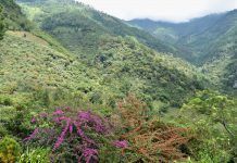 Turismo El Progreso: ¡para qué ir más lejos Imagen de la Sierra de las Minas