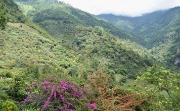 Remontando el río Hato hasta la Sierra de las Minas virgen Imagen de la Sierra de las Minas