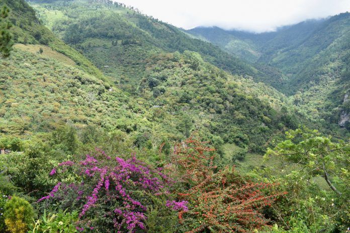 Imagen de la Sierra de las Minas