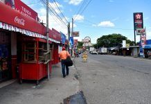 La vida y el color abarrotan el Mercado de Las Champas