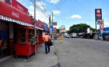 La vida y el color abarrotan el Mercado de Las Champas
