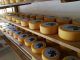 Chancol, queso suizo de Guatemala hecho con “mil amores” Los lácteos para el crecimiento