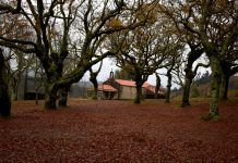 El otoño encuentra su espejo en la Carballeira de San Xusto Carballeira de San Xusto y Ermita