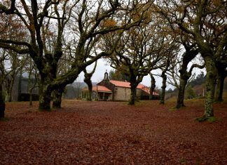 El otoño encuentra su espejo en la Carballeira de San Xusto Carballeira de San Xusto y Ermita