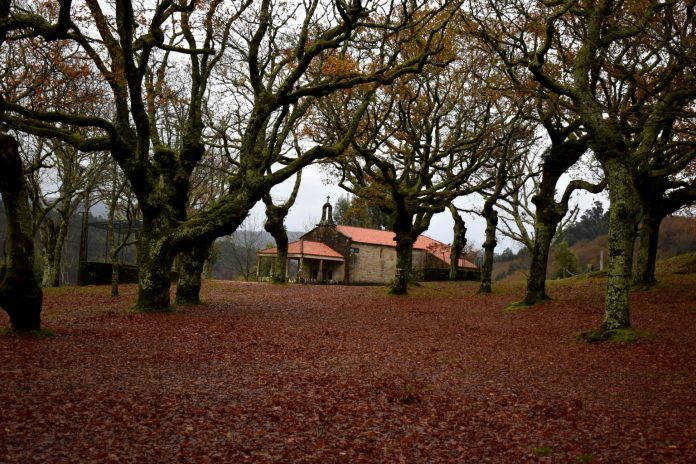 Carballeira de San Xusto y Ermita