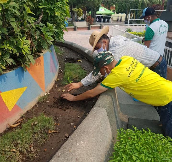 Campaña huerto urbano y familiar