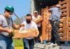 EQUISOLIDARIDAD: cada persona necesitada, su gota de solidaridad Reparto de melones en Morales Izabal
