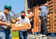 EQUISOLIDARIDAD: cada persona necesitada, su gota de solidaridad Reparto de melones en Morales Izabal
