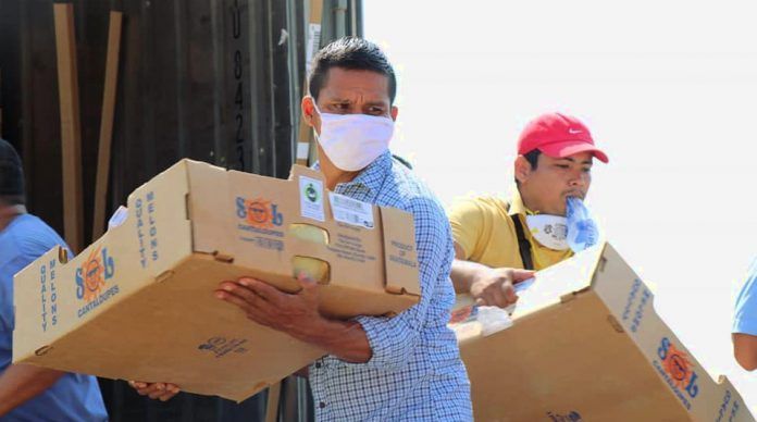 Distribución Melones en Morales