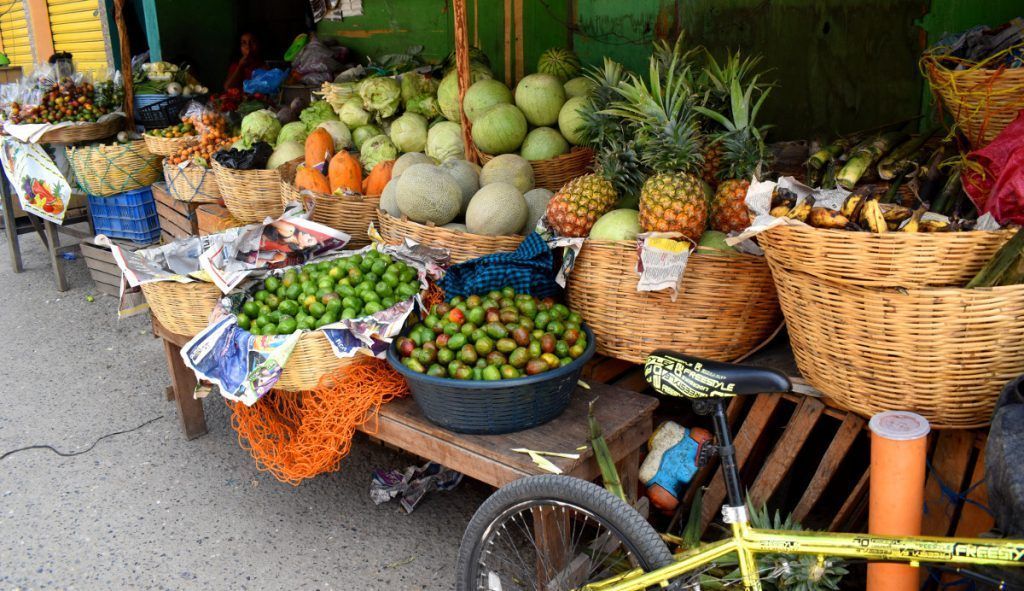 Productos agrícolas del Valle del Motagua