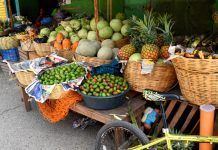 ¿El Progreso podría ser de nuevo La Huerta de Guatemala? Productos agrícolas del Valle del Motagua