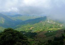 El cultivo orgánico del Café Montaña de Guastatoya Aldea El Naranjo Guastatoya