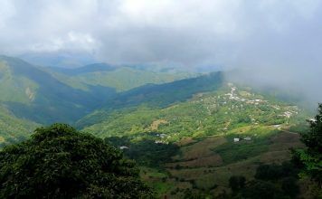 El cultivo orgánico del Café Montaña de Guastatoya Aldea El Naranjo Guastatoya