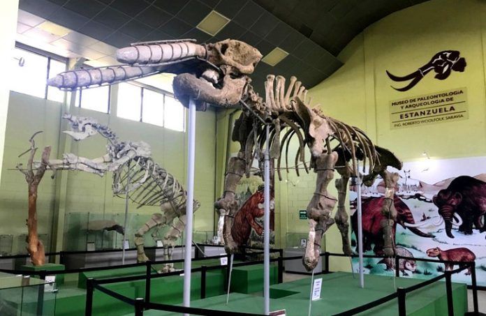 Museo de Paleontología, Arqueología y Geología Roberto Wookfolk en Estanzuela