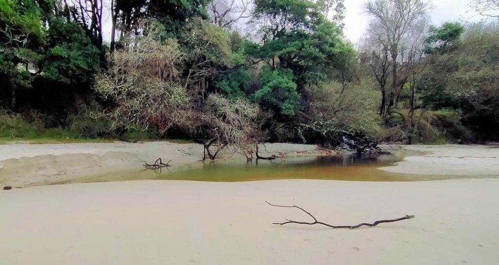 Lapamán, más que mar
