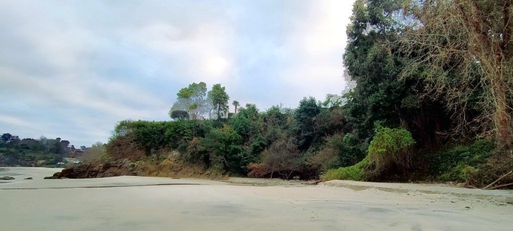 Barreras naturales en Muíño Vello