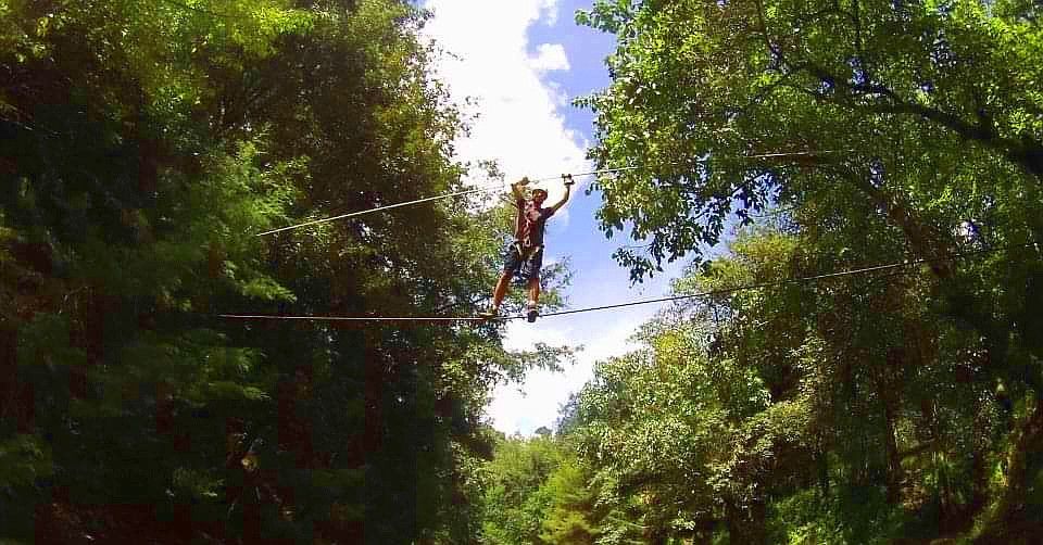 Canopy La Taltuza Loca