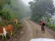 Brandán Márquez: “Guatemala tiene un potencial enorme para el ciclismo de montaña y aventura” Brandán en la sibida al Naranjo, camino de Esquipulas