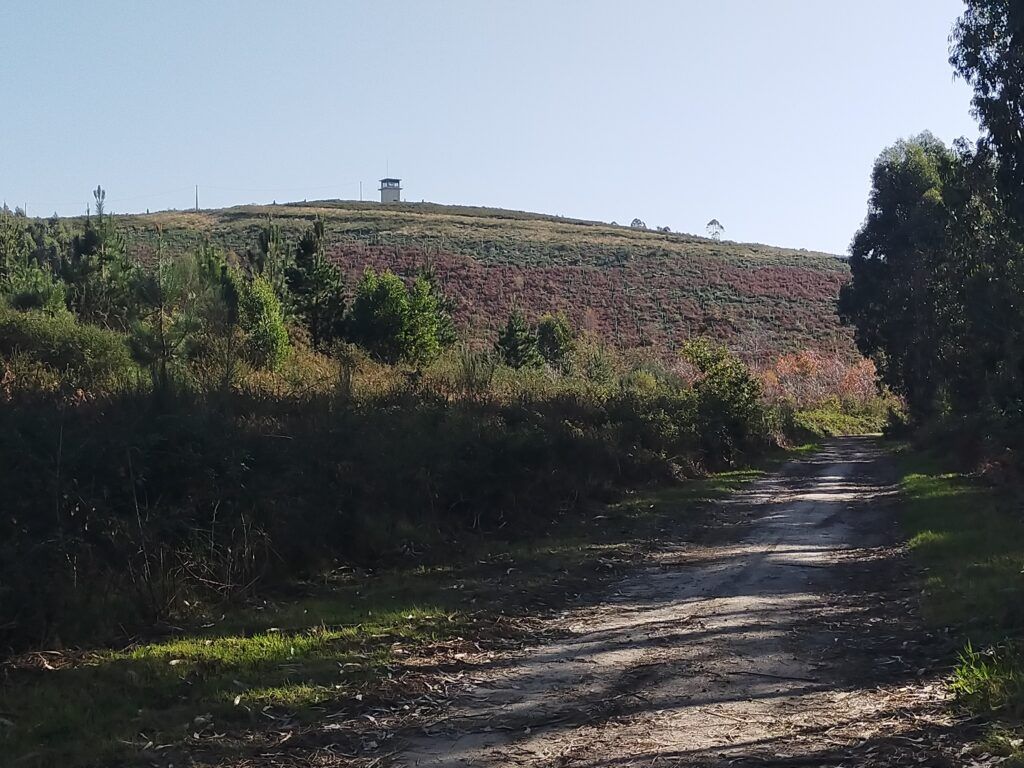 Cima Monte Espiño (Moreira - Soutomaior)