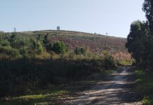 ¿Cuántos tramos cronometrados puedo hacer en A Gran Bikedada 2025? Cima Monte Espiño (Moreira - Soutomaior)