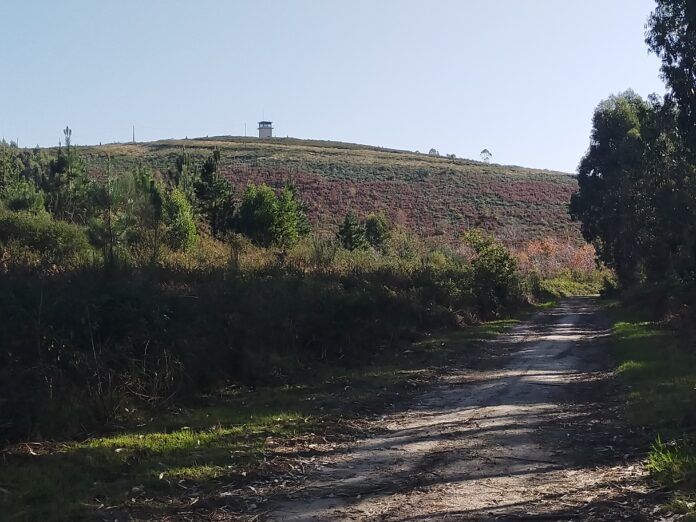 Cima Monte Espiño (Moreira - Soutomaior)