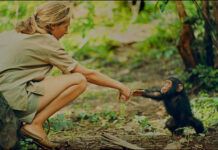 Jane Goodall y los grandes amaneceres de África