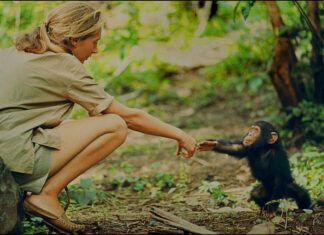 Jane Goodall y los grandes amaneceres de África
